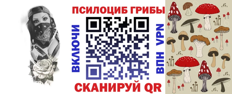 Галлюциногенные грибы мицелий  где купить   это состав  Балаково 