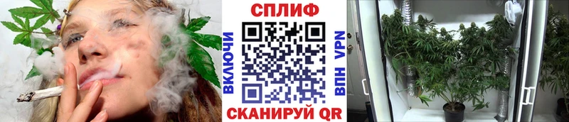 Бошки Шишки OG Kush  Балаково 